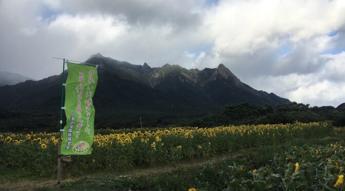 【屋久島】屋久島でダラダラ